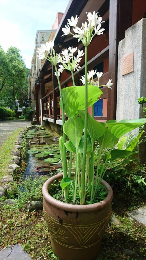 Monet Garden Coffee Farm Apartment Chinan Exterior photo